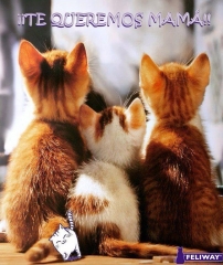 CLÍNICA VETERINARIA LAS NIEVES