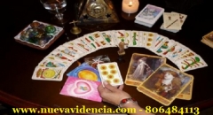 Experta Tarotista 806484113