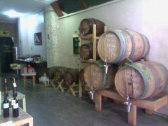 Bodega l´antiga carboneria - foto 10
