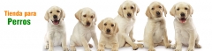 Tienda online para perros