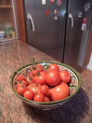 Igp tomate la canada  - foto 1