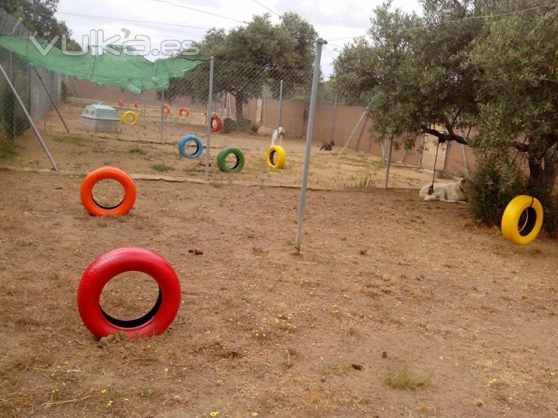 Para este ao campo de recreo con colorido y diversion