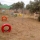 Para este año campo de recreo con colorido y diversion