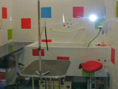 La casita de aurora - foto 10