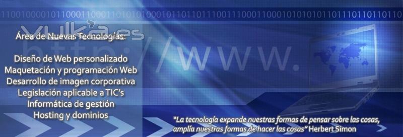 Diseo web personalizado, dominios y hosting, anlisis SEO...