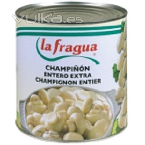 Champion entero y laminado