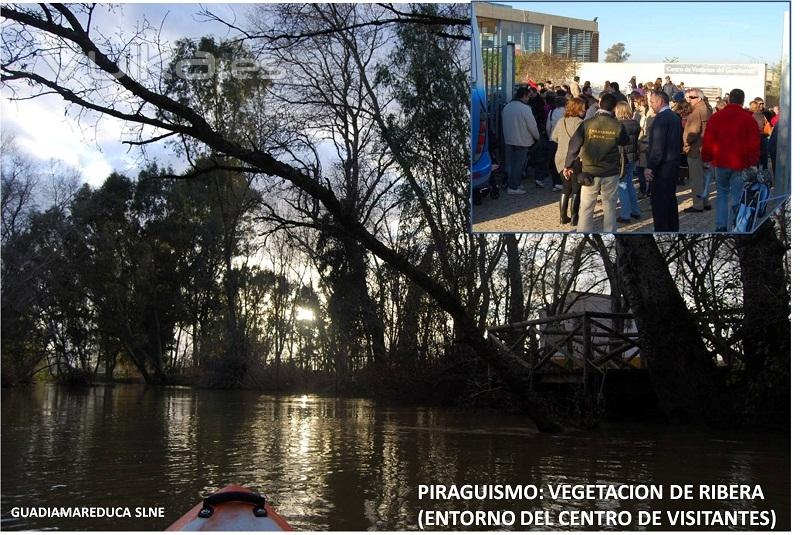 Piraguismo en vegetación de Ribera