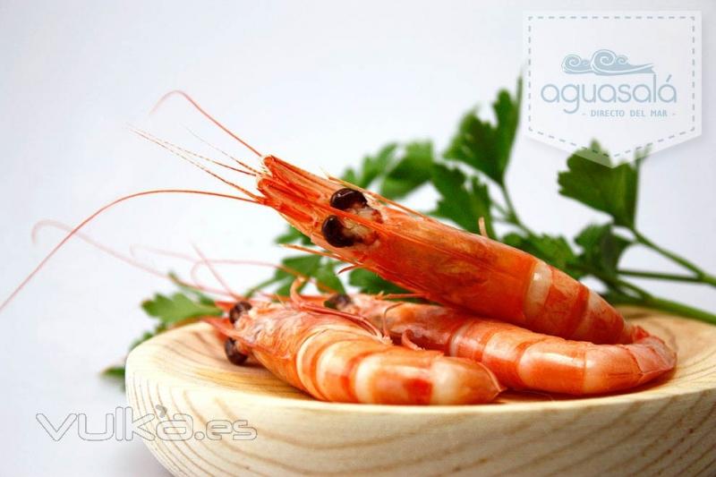 Gamba blanca de Huelva, comprar gamba 