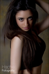 Book hache fotografia