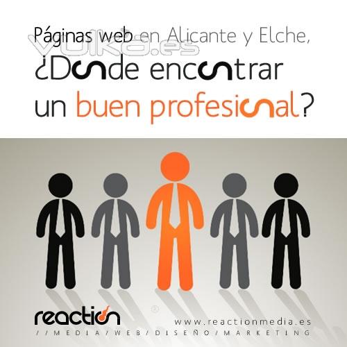 Pginas web Alicante y Elche, dnde encontrar a un buen profesional?