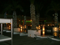 Iluminaciones para bodas