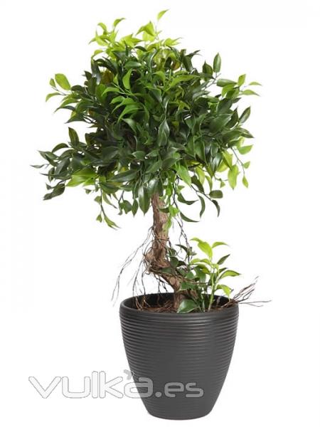 Planta ficus artificial pequeo Oasis Decor