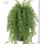 Planta dischidia artificial sin maceta Oasis Decor