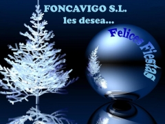 Fonca vigo sl - foto 13