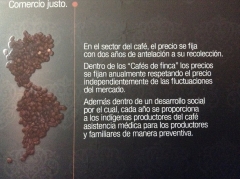 Iecafe - foto 3