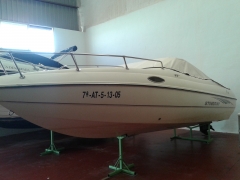 Stingray Ocasión