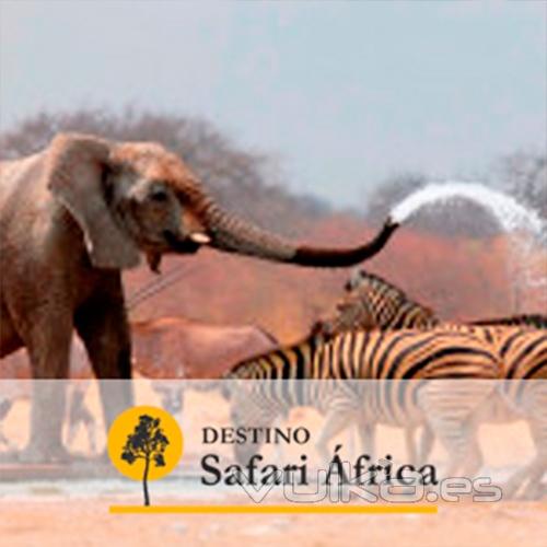 Safari Botswana. Viajes a Botswana - Botswana de lujo