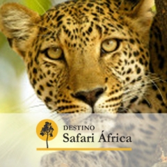 Safari kenia viajes a kenia - safari haraka