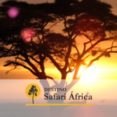 Safari kenia viajes a kenia - esencias de kenia