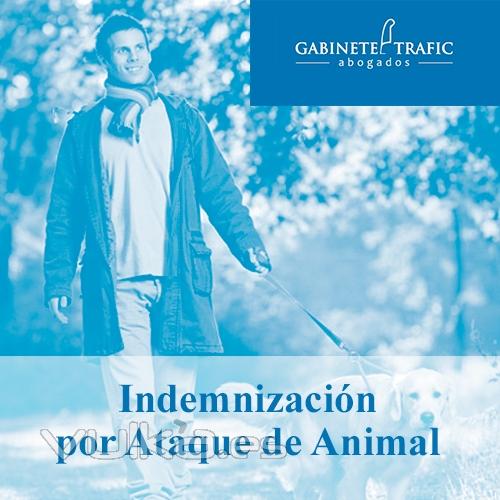 Indemnizacin Ataque Animal - Trafic Abogados