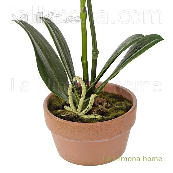 Planta flores orquideas artificiales malva maceta terracota 29 1 - La Llimona home