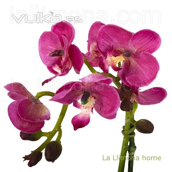 Planta flores orquideas artificiales malva maceta terracota 29 2 - La Llimona home