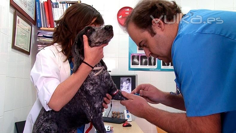 Clínica Veterinaria La Huella