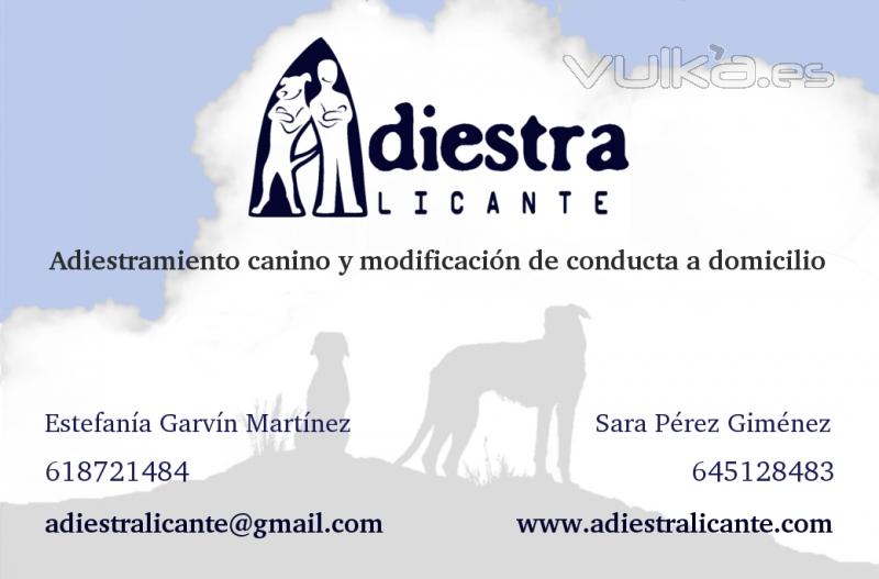 AdiestrAlicante - ¡Contacta con nosotros!