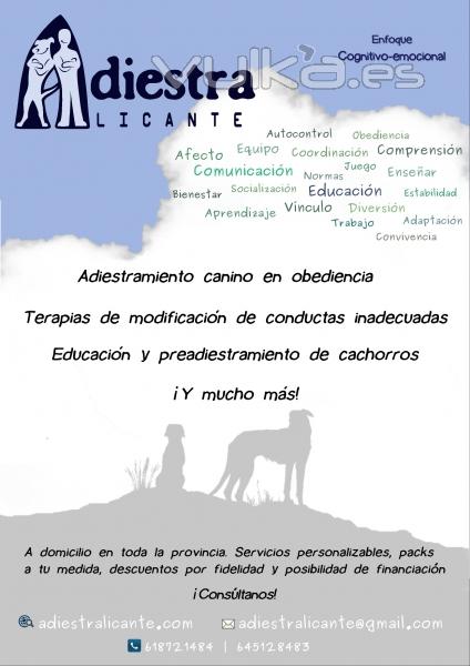 AdiestrAlicante - Conoce nuestros servicios, ayudemos juntos a tu perro