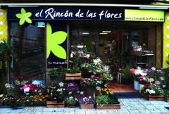 El Rincón de las Flores, floristería en Zaragoza.
