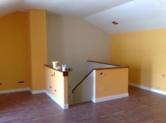 pintar chalets