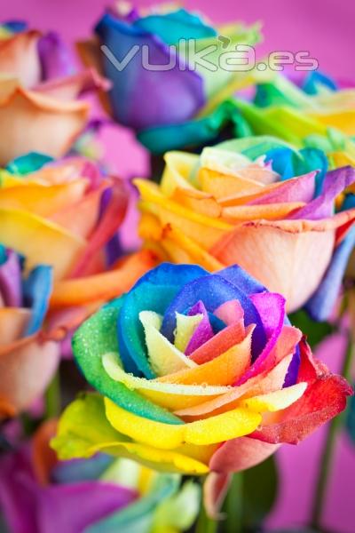 Flores con tratamiento de color