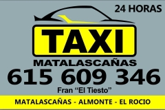 Foto 24 transportes en Huelva - Taxi Matalascaas 615 609 346