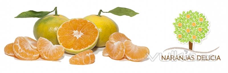 mandarinas de naranjasdelicia