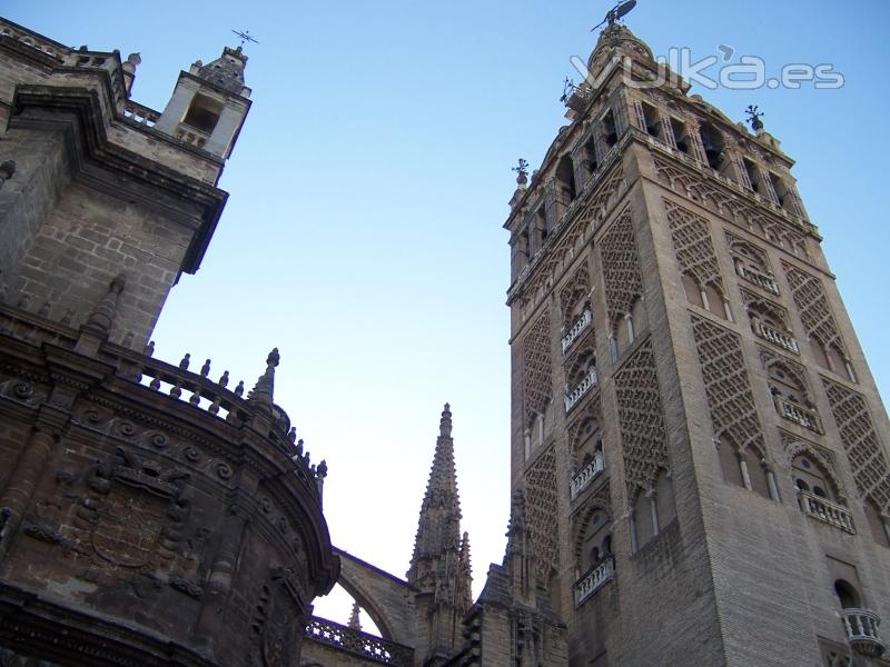 La Giralda desde sus pies