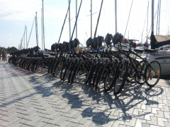 Amplia flota de bicicletas de calidad con marcas como Specialized.