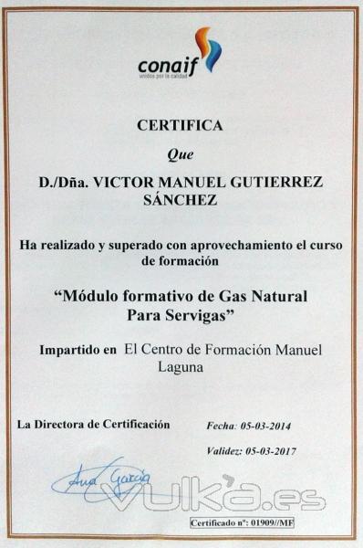 Curso Tcnico Servigas de Gas Natural Fenosa