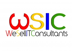 We Sell It Consultants