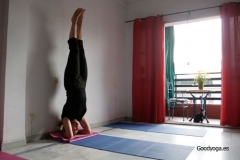 Clases de yoga en sevilla goodyogaes