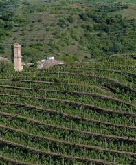 Catalonia wine tours