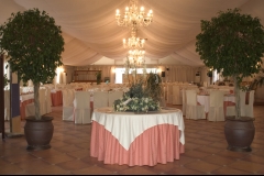 Interior de la carpa climatizada