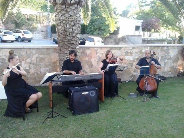 Musicos Cocktail de Boda Casa Paulino de Petrer ( Alicante )