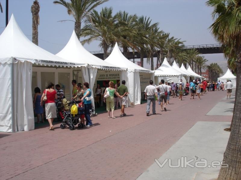 Jaimas en hilera-. Feria de muestras