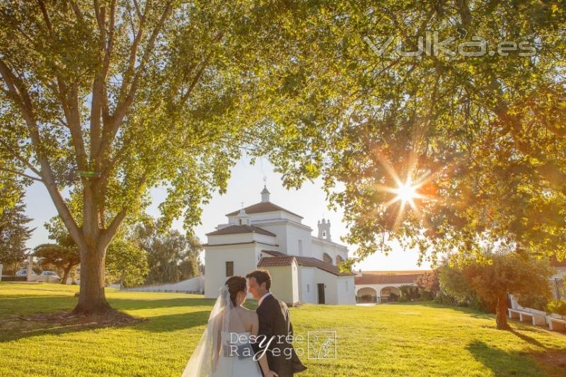 fotografa de boda - fotgrafos en don benito