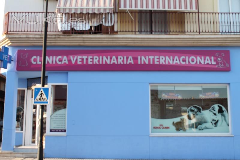 CLÍNICA VETERINARIA INTERNACIONAL