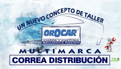 Cambio correa de distribucion