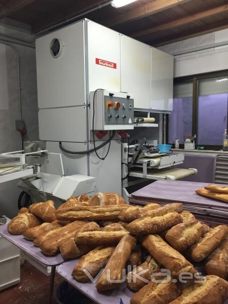 MQUINAS DE PANADERA SEGUNDA MANO en cobaMaq