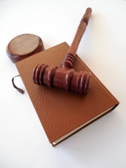 Foto 240 procuradores - Maria Jesus Ferrus Zaragoza