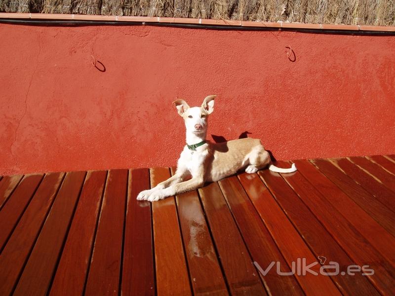 Terraza en Barcelona