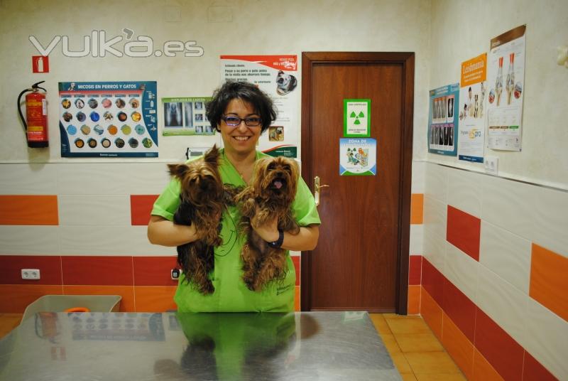 Clínica Veterinaria El Restón en Valdemoro, Madrid